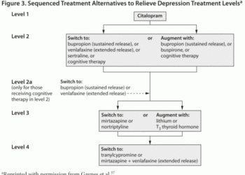 A Review of Antidepressant Therapy in Primary Care: Current Practices ...