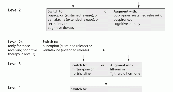 A Review of Antidepressant Therapy in Primary Care: Current Practices ...